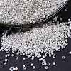 MIYUKI Delica Beads SEED-J020-DB0221-1