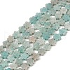 Natural Amazonite Beads Strands G-B138-C10-01-2