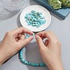 SUNNYCLUE Natural Howlite Beads Strands G-SC0002-29-4