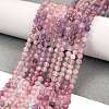 Natural Plum Blossom Tourmaline Beads Strands G-G991-B02-02-2