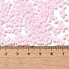 Glass Frosted Seed Beads SEED-K009-05B-02-4