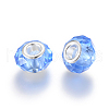 Handmade Glass European Beads X-GPDL25Y-22-2
