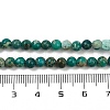Dyed Natural Regalite/Imperial Jasper/Sea Sediment Jasper Beads Strands G-B124-C04-07-4