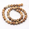 Natural Picture Jasper Beads Strands X-G-D686-4mm-2
