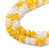 Glass Beads Strands EGLA-A034-M6mm-21-3