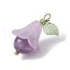 5Pcs 5 Styles Natural Amethyst & Dyed Quartz Crystal & Green Aventurine & Rose Quartz & Synthetic Green Turquoise Pendants PALLOY-TA00147-4