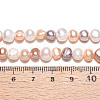 Natural Cultured Freshwater Pearl Beads Strands PEAR-N014-05M-01-6
