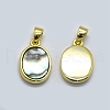 Shell Pendants SSHEL-O020-01E-G-2