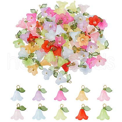 80Pcs 10 Colors Acrylic Shell Pearl Pendants PALLOY-FH00060-1