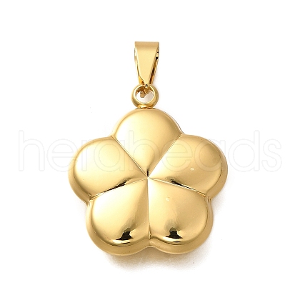 304 Stainless Steel Pendants BJEW-H200-10G-01-1