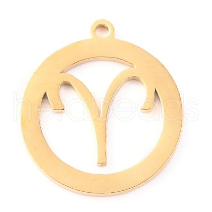 304 Stainless Steel Pendants STAS-O142-70G-K-1