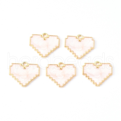 Light Gold Plated Alloy Enamel Pendants ENAM-R136-48B-1