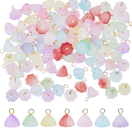 112Pcs 7 Styles Two Tone Acrylic Charms PALLOY-HY00033-1