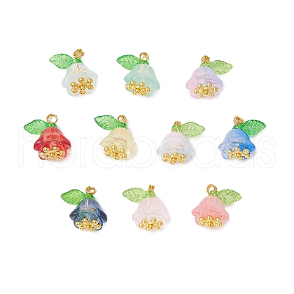 30Pcs Glass Pendants PALLOY-JF04000-01-1