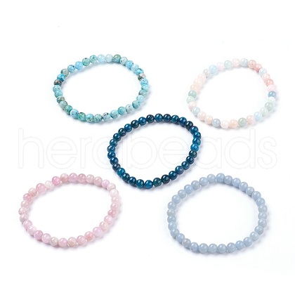 Natural Gemstone Stretch Bracelets BJEW-JB03738-1