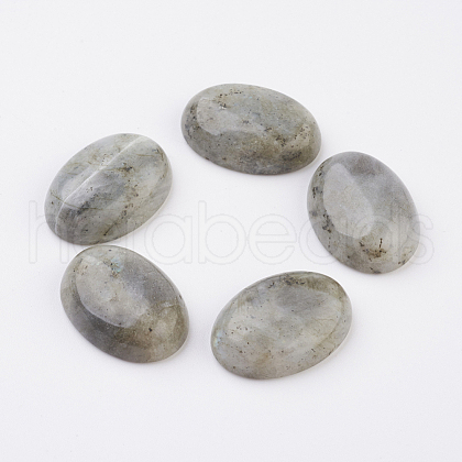 Natural Labradorite Flat Back Cabochons G-G741-18x25mm-18-1