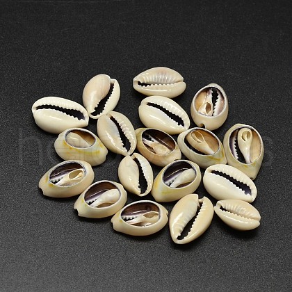 Natural Cowrie Shell Beads X-BSHE-O007-73-1