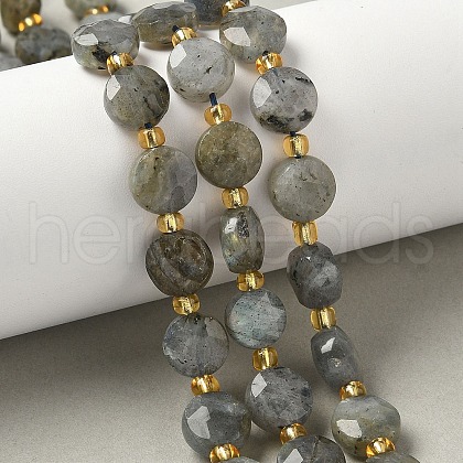 Natural Labradorite Beads Strands G-G271-C09-10mm-1