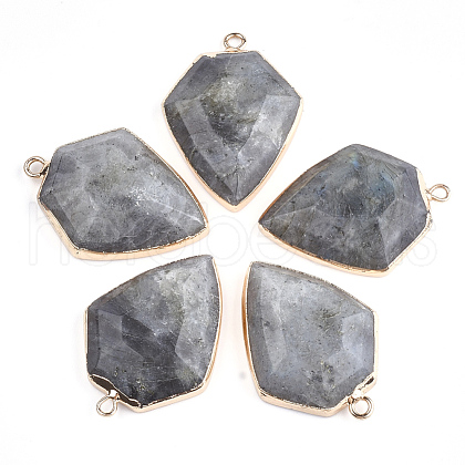 Electroplate Natural Labradorite Pendants G-S344-20A-1