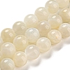 Natural White Moonstone Beads Strands G-F306-05AB-10mm-01-2