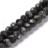 Natural Larvikite Beads Strands G-K380-A46-01-1