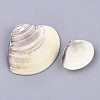 Clam Shell Beads SSHEL-S258-50-2