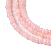 Natural Freshwater Shell Beads Strands SHEL-P017-01A-09-3