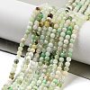 Natural Serpentine Beads Strands G-G161-D24-01-2