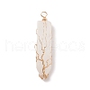 Natural Mixed Stone Big Pendants PALLOY-JF01557-2