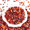 Baking Paint Glass Seed Beads GLAA-SZC0007-04B-1
