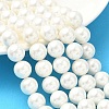 Shell Pearl Beads Strands BSHE-K015-10mm-03-5