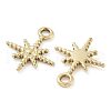Ion Plating(IP) 304 Stainless Steel Charms STAS-U032-14G-2