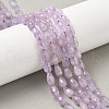 Natural Amethyst Beads Strands G-F790-E01-01-1