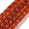 Natural Agate(Dyed & Heated) Beads Strands G-M446-B01-01-2