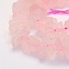 Natural Rose Quartz Beads Strands G-G697-D01-3