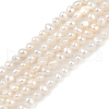 Natural Cultured Freshwater Pearl Beads Strands PEAR-P064-19A-12A-2