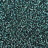 MIYUKI Delica Beads SEED-J020-DB0607-3