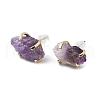 Raw Rough Natural Amethyst Stud Earrings EJEW-R148-01LG-01-2