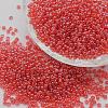 6/0 Glass Seed Beads SEED-J012-F6-105B-1