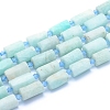 Frosted Natural Amazonite Beads Strands G-L552C-02-1