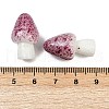 Mushroom Series Resin Display Decorations DJEW-S002-01C-3