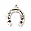 Tibetan Style Alloy Pendants PALLOY-B012-01C-AS-2