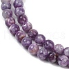 Natural Lepidolite Beads Strands G-U026-A06-8mm-4