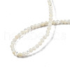 Natural White Shell Bead Strands SSHEL-N003-144A-01-4