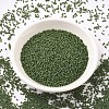 MIYUKI Delica Beads X-SEED-J020-DB1585-2