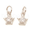 Brass Micro Pave Cubic Zirconia Charms KK-I672-30P-1