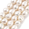 Natural Cultured Freshwater Pearl Beads Strands PEAR-P062-26G-2