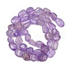 Natural Amethyst Beads Strands G-Q060-E16-3
