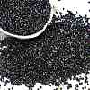 Electroplate Glass Seed Beads SEED-H003-10M-1