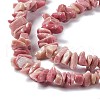 Natural Rhodonite Chip Beads Strands G-G905-01-5